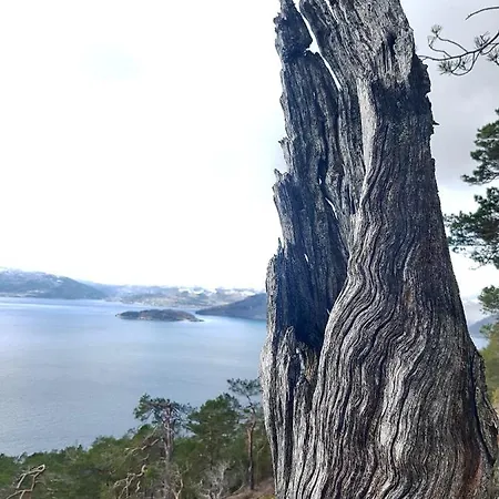 Funkis-cabin In With Fantastic Fjordview Apartmán